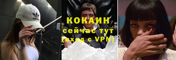 дживик Мегион