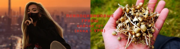 ГАЛЛЮЦИНОГЕННЫЕ ГРИБЫ Абинск