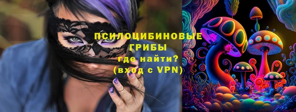 ГАЛЛЮЦИНОГЕННЫЕ ГРИБЫ Абинск