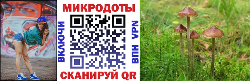 Псилоцибиновые грибы Psilocybe  Иноземцево 